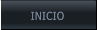 INICIO INICIO